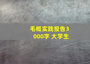 毛概实践报告3000字 大学生